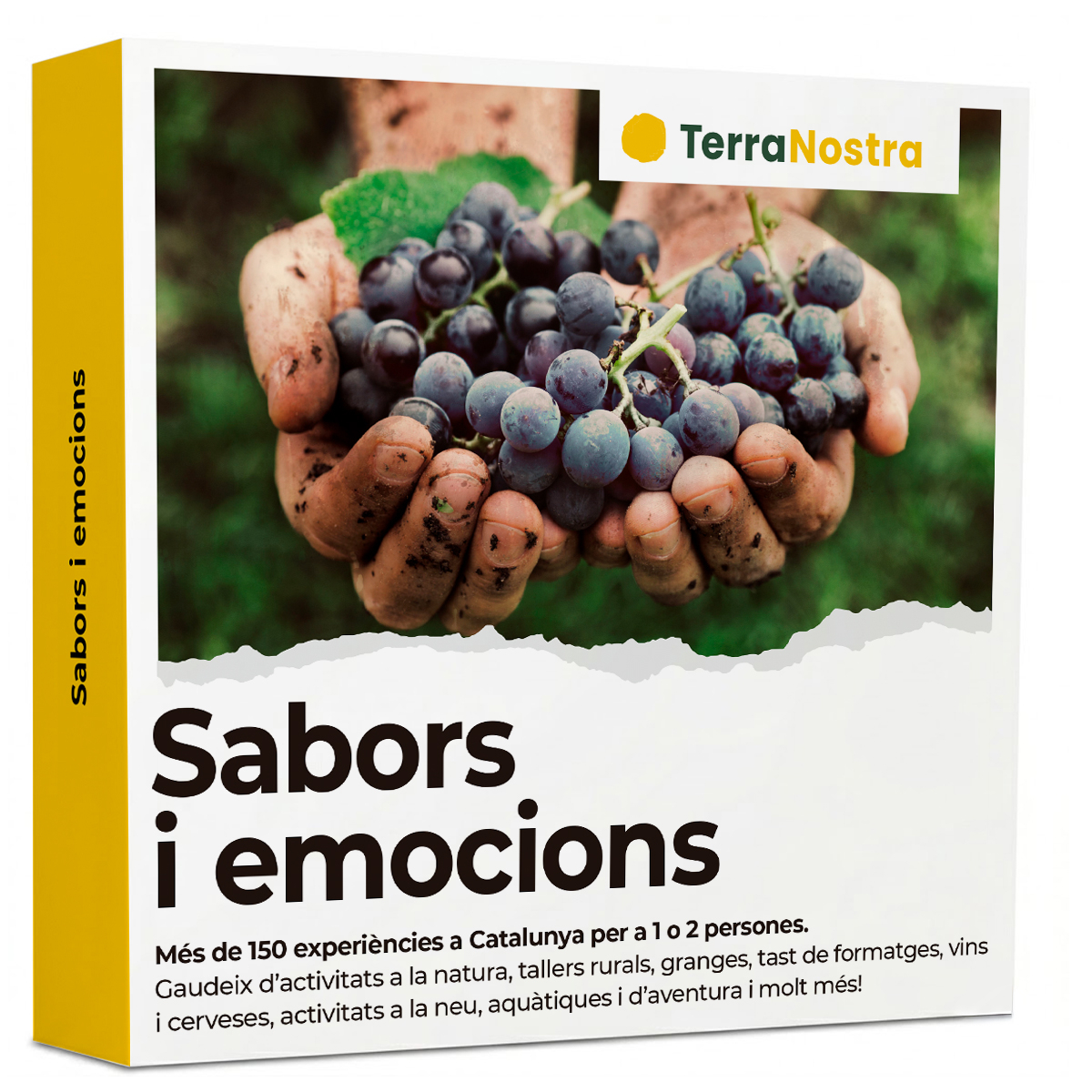Sabors i emocions